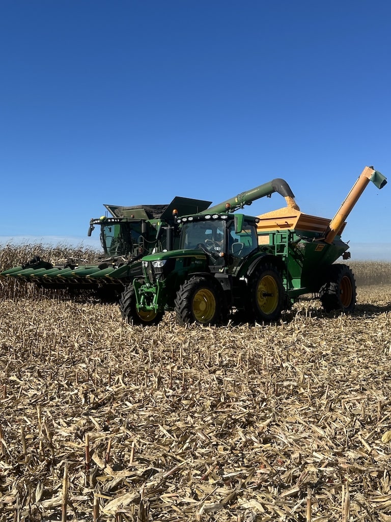 VOLAILLES-FERME-DES-ALOUETTES-VIVIEN1