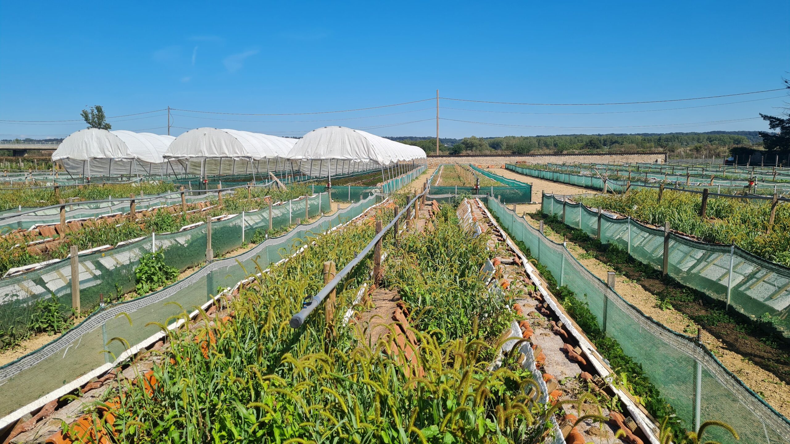 photo-principale-min