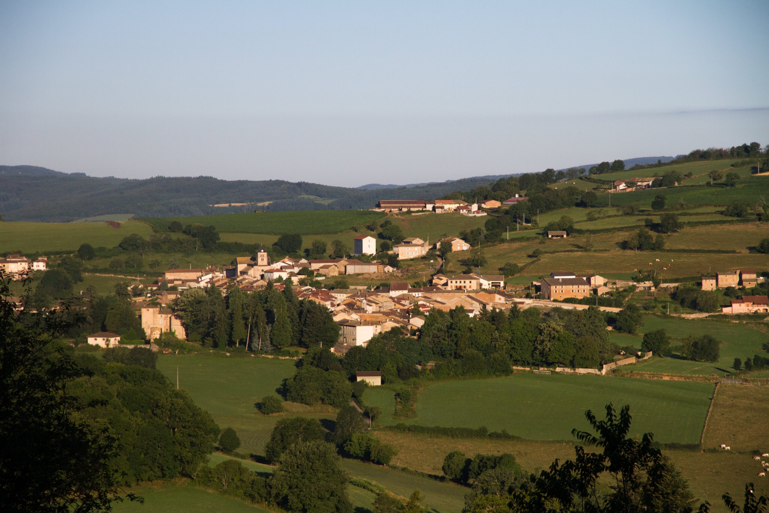 photo-principale-min